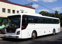 Автобус Hyundai, 43-49 мест - аренда, прокат